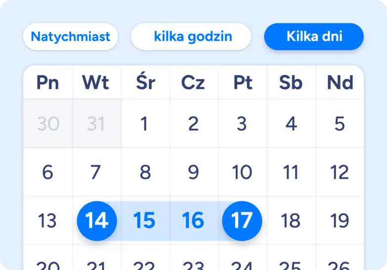 Twoja strategia, Twój harmonogram🎯